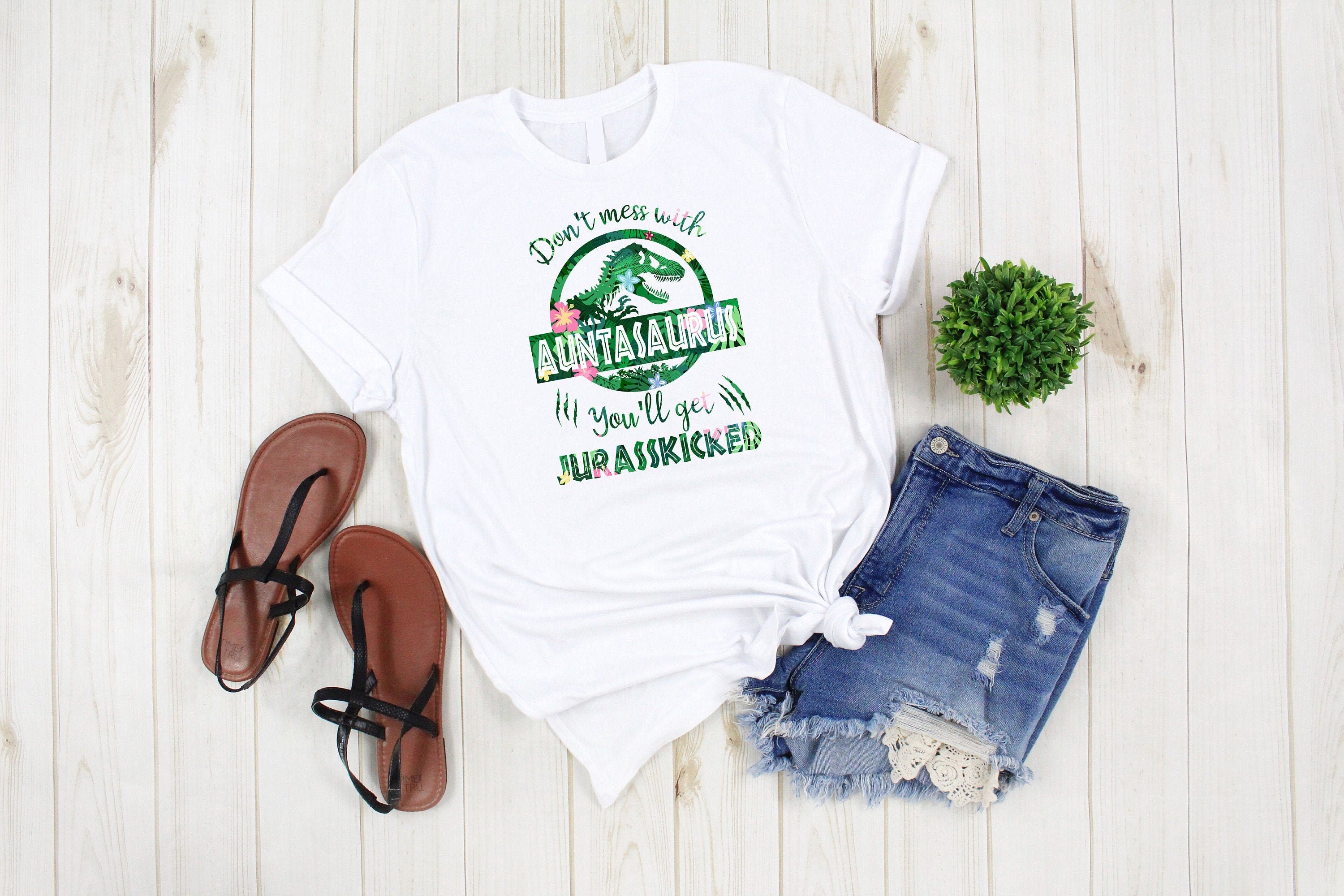 Auntasaurus Shirt - New Aunt Gift - Don't Mess with Auntasaurus You'll get Jurasskicked - Birthday Gift for Aunt - Present for Aunt