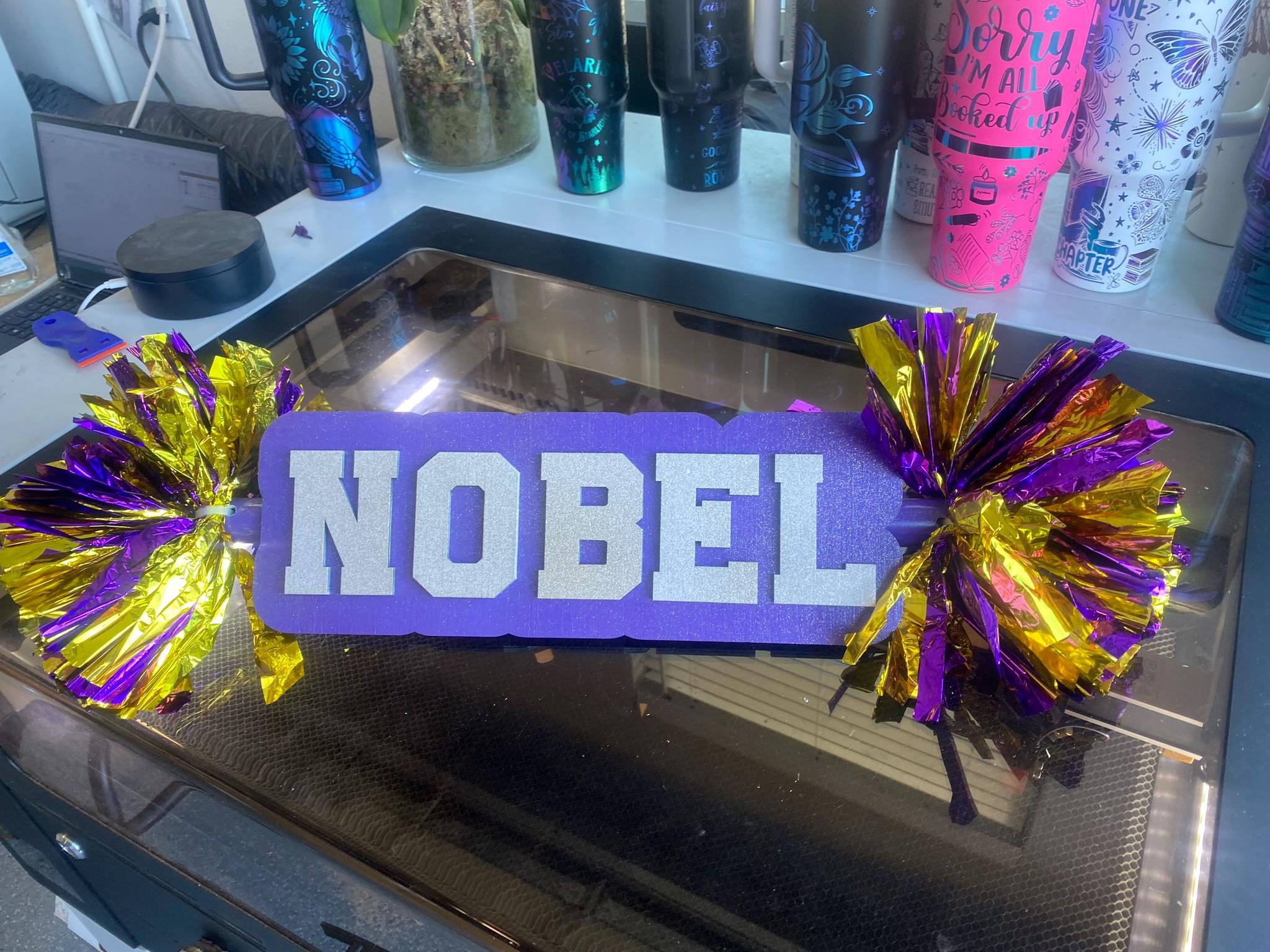 Go Panthers Red White Custom Cheer Stick  -Game Day Signs - Pom Pom Sign - Custom Cheer Stick - Personalized Name Cheer Sign - Pom Poms