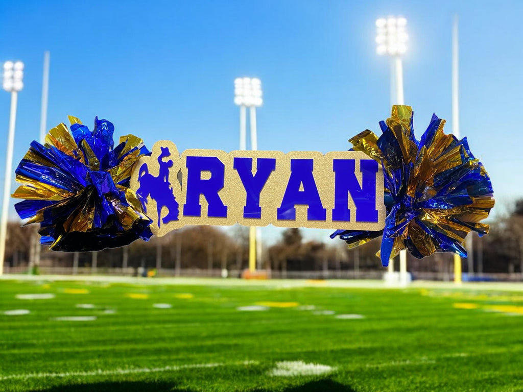 Game Day Signs - Custom Cheer Stick - Pom Pom Sign - Custom Acrylic Cheer Stick - Personalized Name Cheer Sign - Sport Mom Sign - Pom Poms