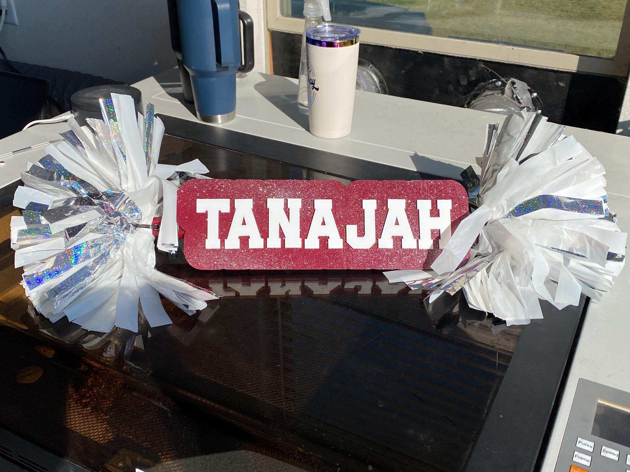 Go Panthers Red White Custom Cheer Stick  -Game Day Signs - Pom Pom Sign - Custom Cheer Stick - Personalized Name Cheer Sign - Pom Poms