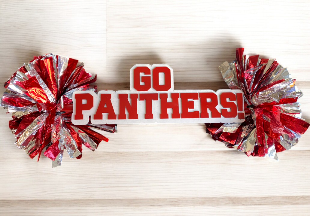 Custom Cheer Stick Pompom Sign – Personalized Spirit Gear
