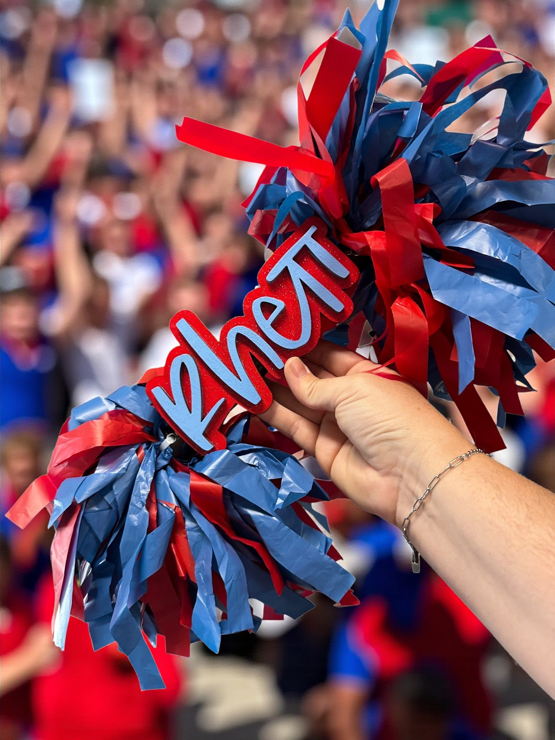 Custom Name Mini Cheerstick – Personalized Wooden Pom-Pom Spirit Sign